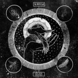 WVRM : Swarm Sound